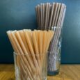 800 PAILLES BAGASSE (CANNE À SUCRE) 14 CM